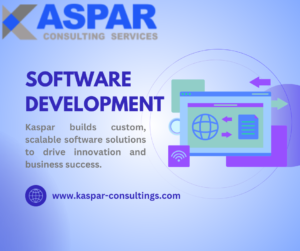 software development
